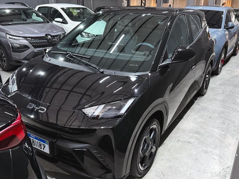 BYD Dolphin Mini (Elétrico)