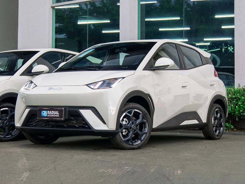 BYD Dolphin Mini (Elétrico)