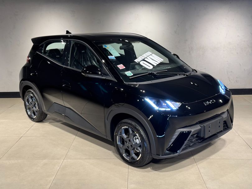 BYD DOLPHIN MINI seats