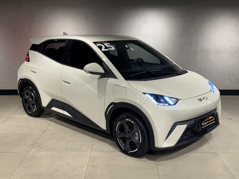 BYD Dolphin Mini (Elétrico)