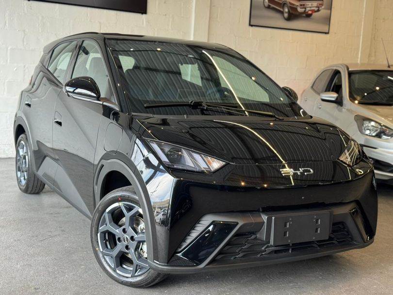 BYD Dolphin Mini (Elétrico)