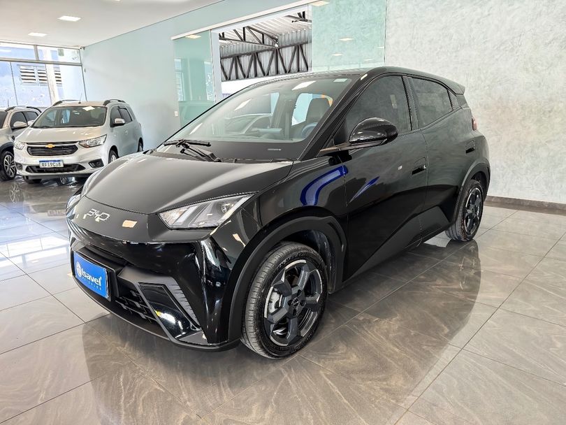 BYD Dolphin Mini (Elétrico)