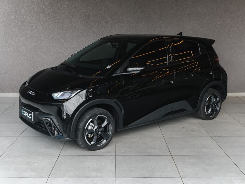 BYD Dolphin Mini (Elétrico)