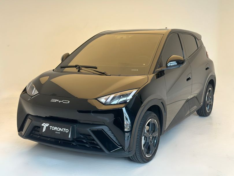 BYD Dolphin Mini (Elétrico)