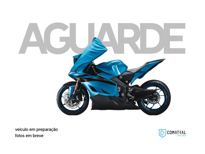 SUZUKI GSX 1300-R HAYABUSA