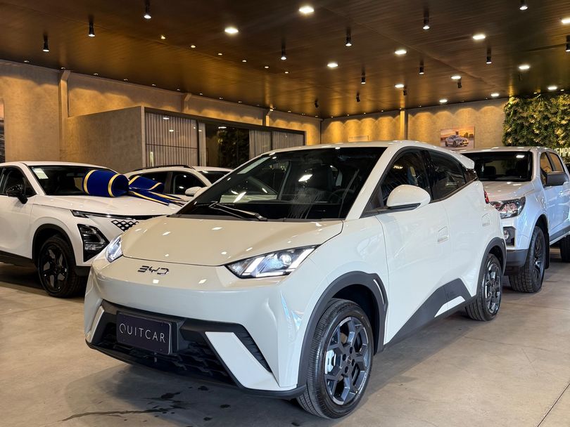 BYD Dolphin Mini (Elétrico)