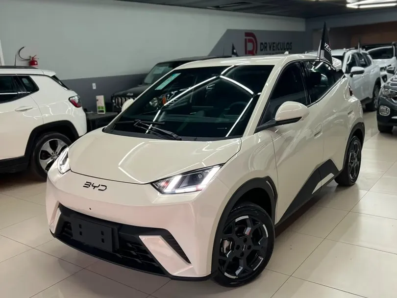 BYD Dolphin Mini GS (Elétrico)