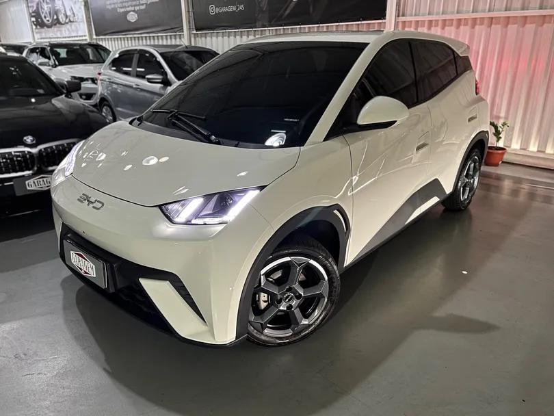 BYD Dolphin Mini (Elétrico)
