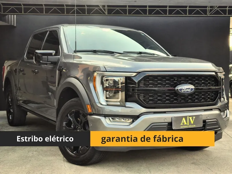 Ford F-150 Platinum 4x4 5.0 V8