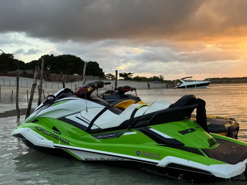 FX CRUISER SVHO WaveRunner