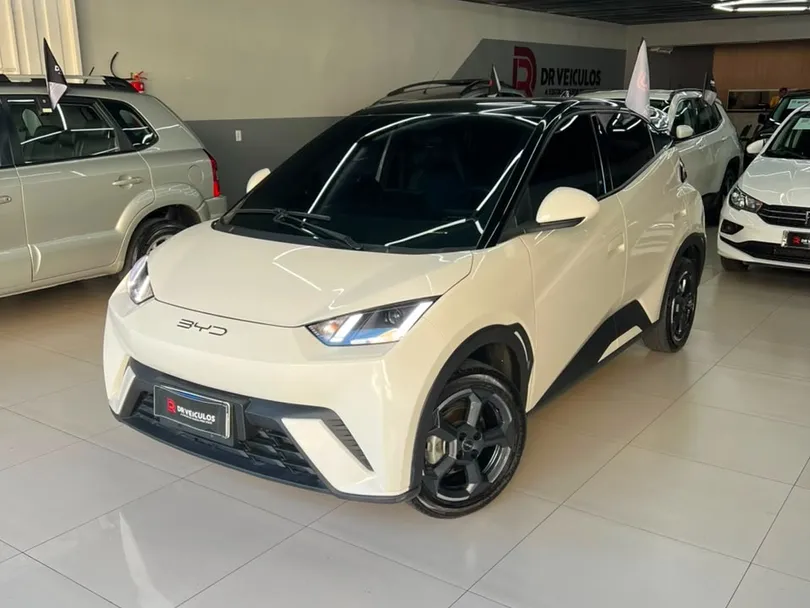 BYD Dolphin Mini GS (Elétrico)
