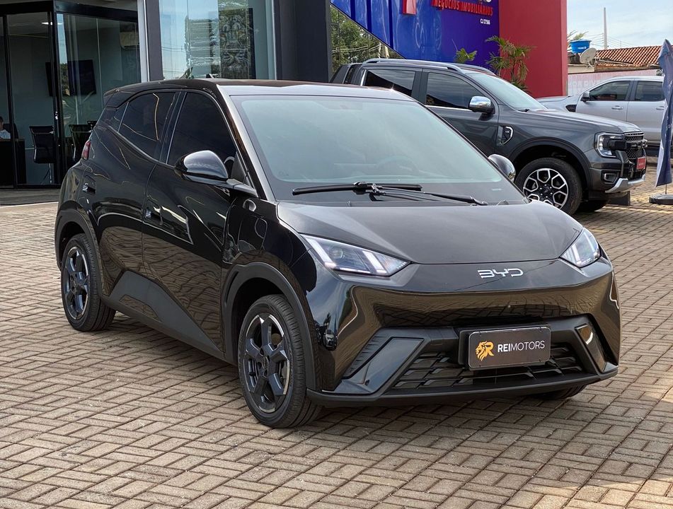 BYD Dolphin Mini (Elétrico)