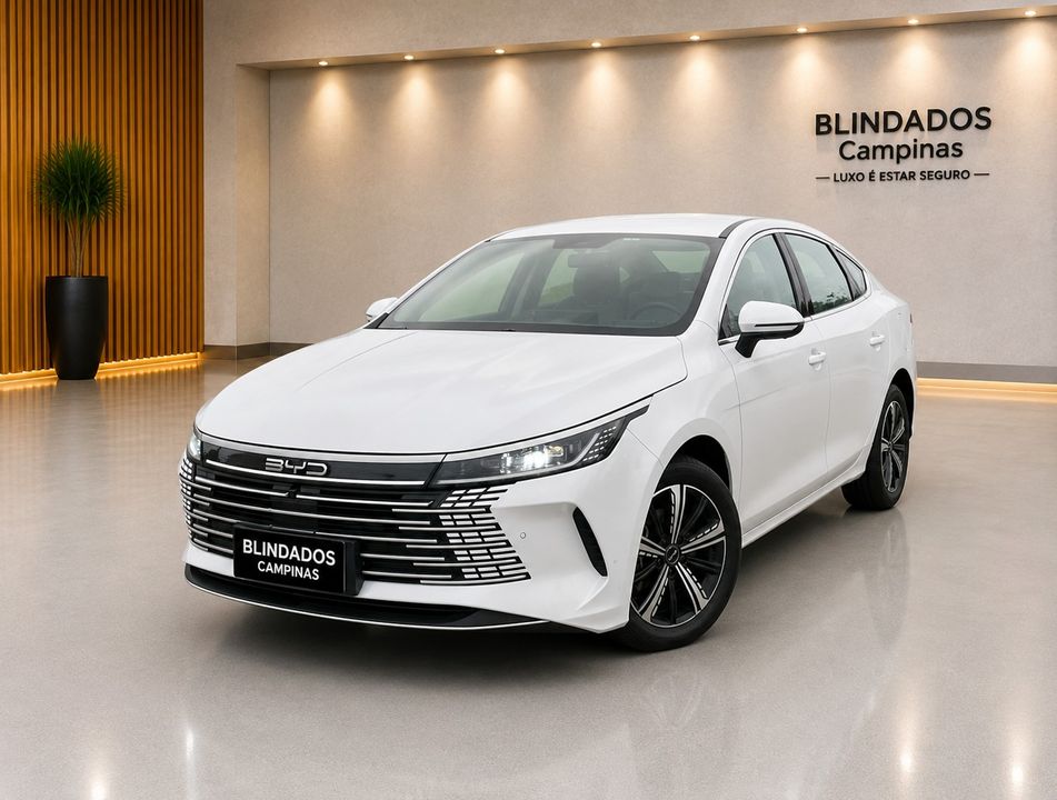 BYD KING GL