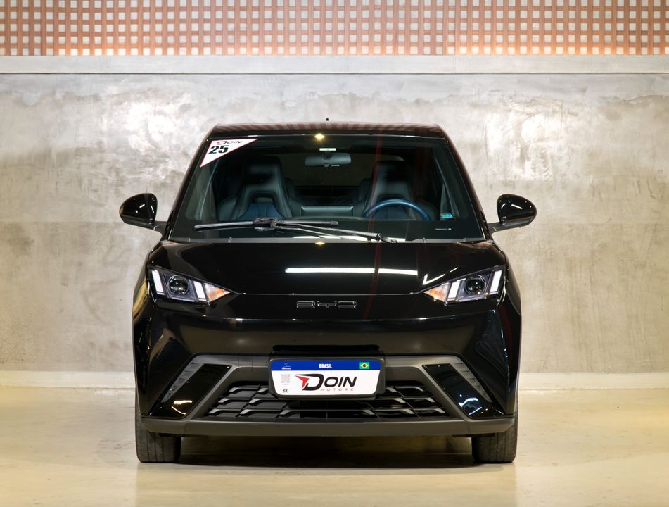 BYD Dolphin Mini (Elétrico)