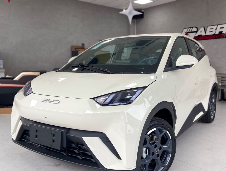 BYD Dolphin Mini (Elétrico)