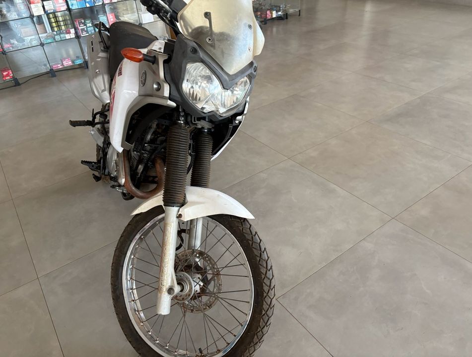 YAMAHA XTZ 250 TENERE/TENERE BLUEFLEX