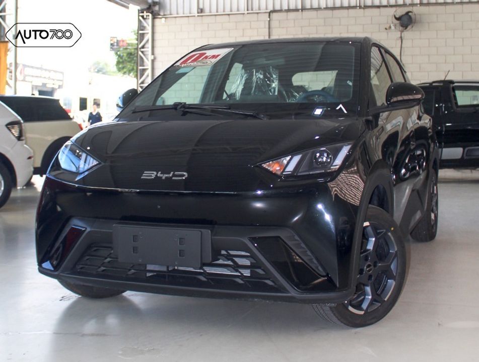 BYD Dolphin Mini (Elétrico)