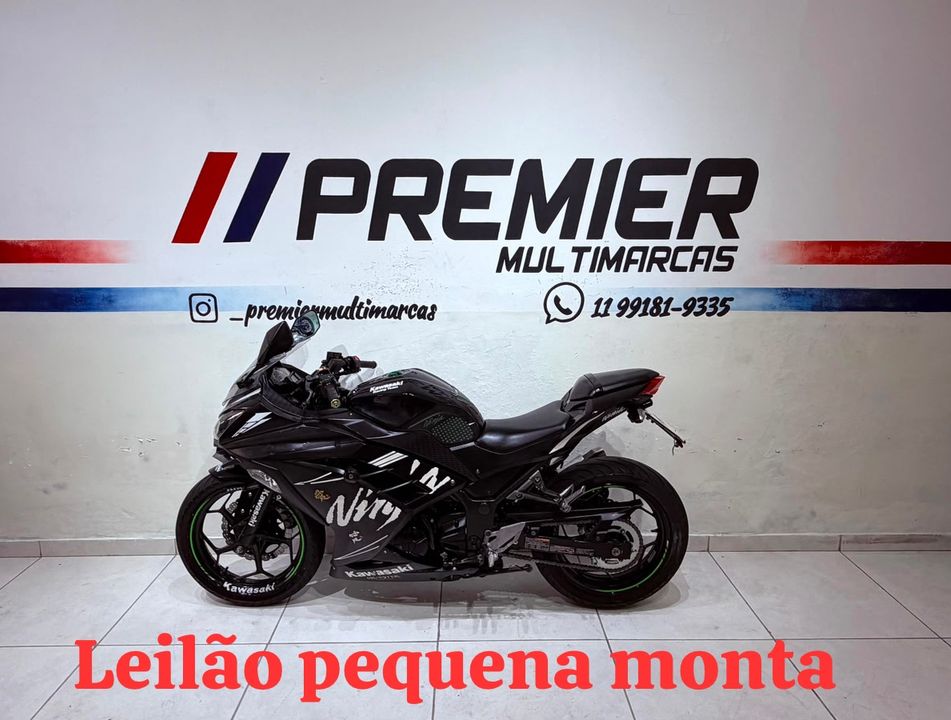 KAWASAKI NINJA 300