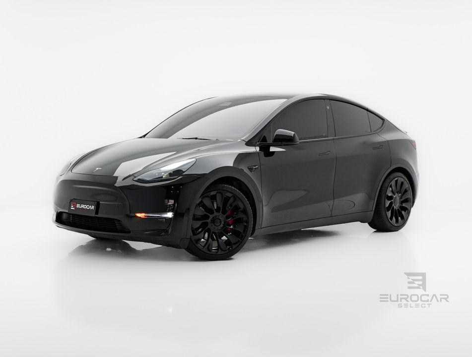 Tesla MODEL Y LONG R P