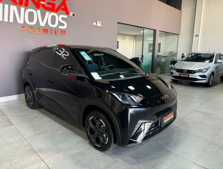 BYD Dolphin Mini (Elétrico)