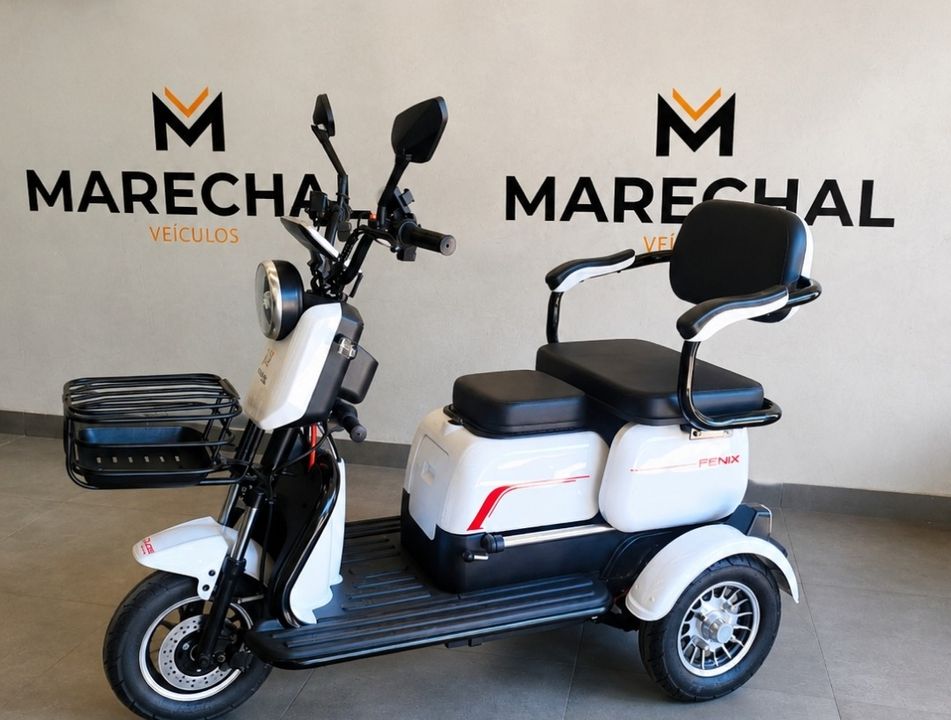 DUOS FENIX TRICICLO ELÉTRICO 