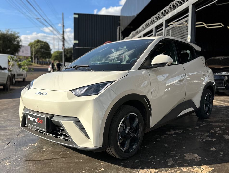 BYD Dolphin Mini (Elétrico)