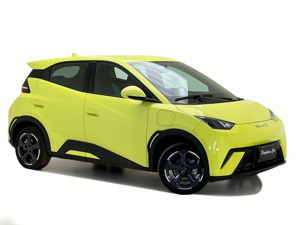 BYD Dolphin Mini (Elétrico)