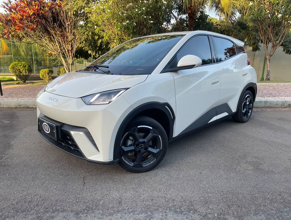 BYD Dolphin Mini (Elétrico)