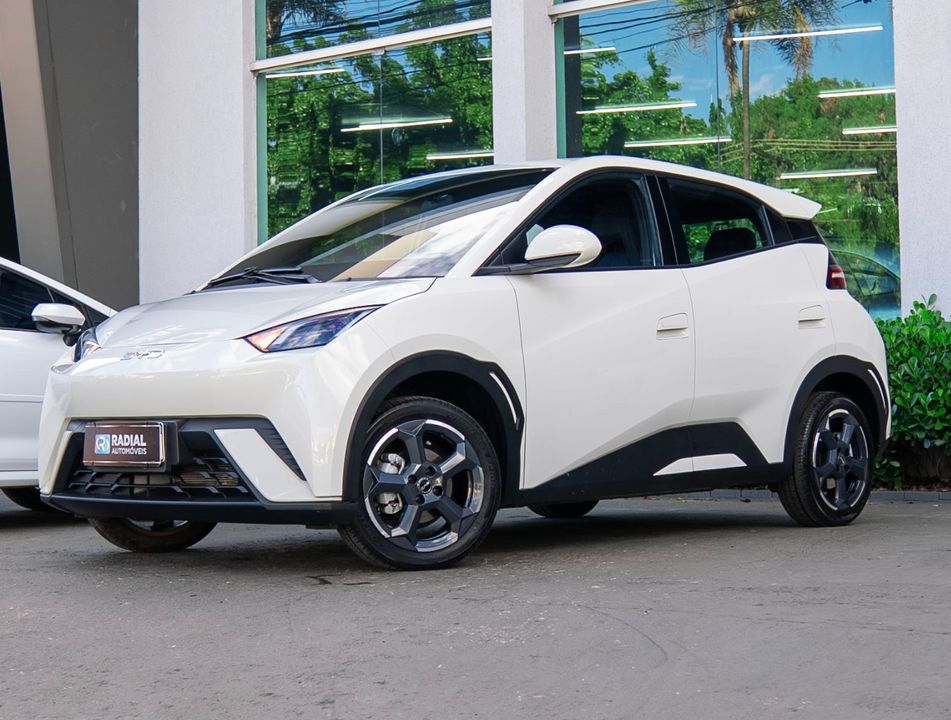 BYD Dolphin Mini (Elétrico)