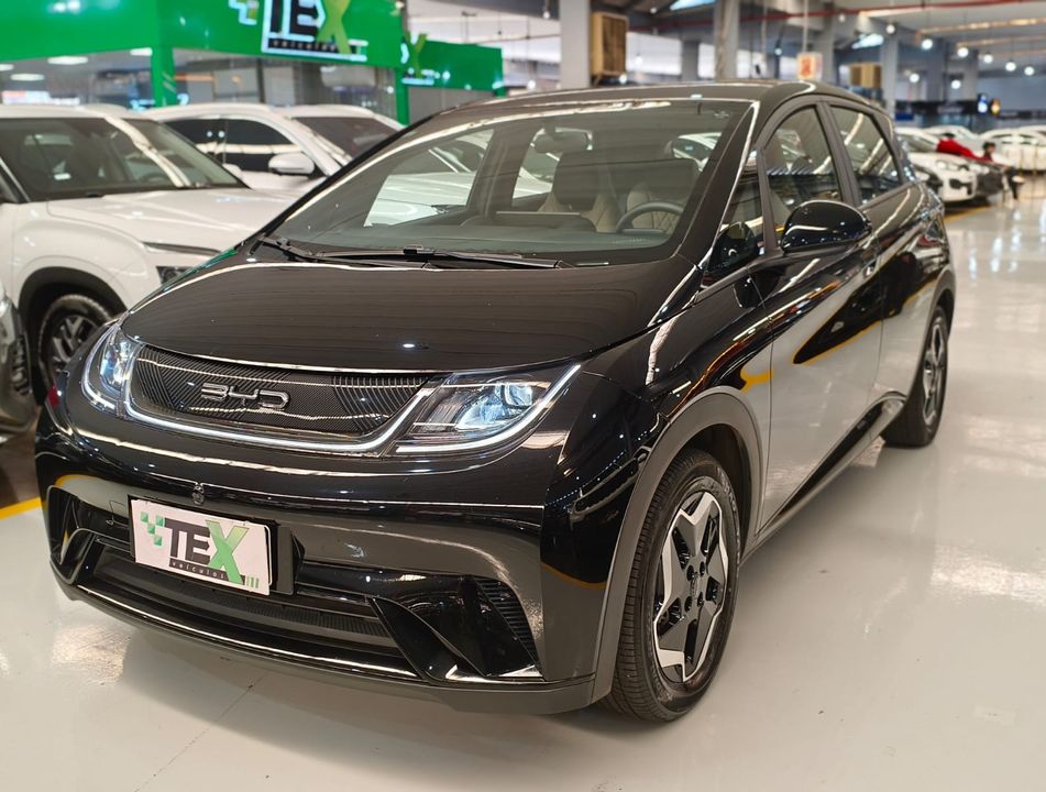 BYD Dolphin EV (Elétrico)