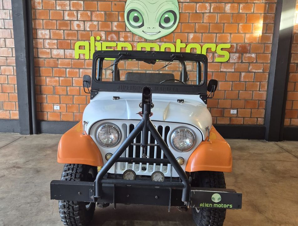  JEEP CLÁSSICO OFF ROAD RAIZ