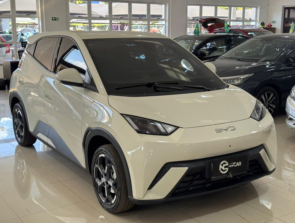 BYD Dolphin Mini (Elétrico)