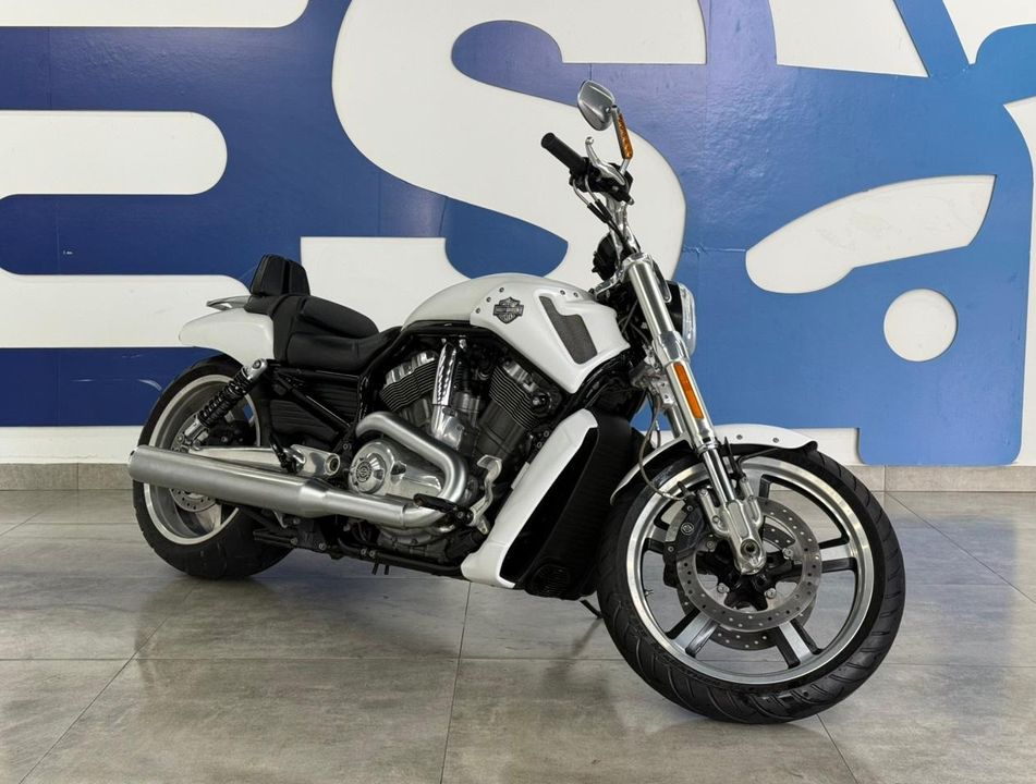 Harley V-ROD 1250cc MUSCLE VRSCF