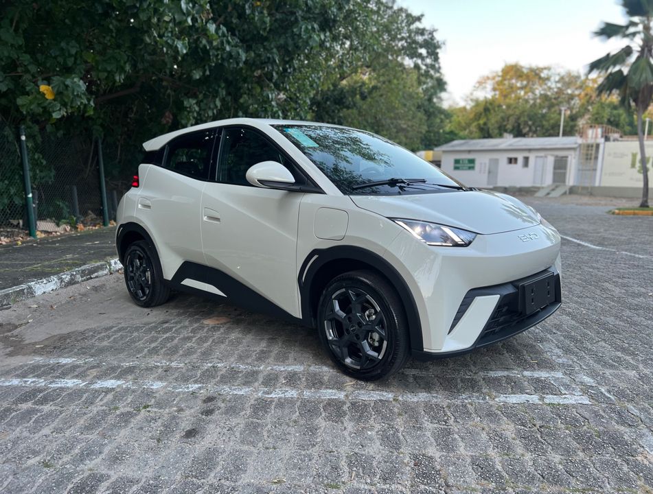 BYD Dolphin Mini GL