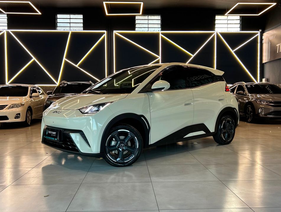BYD Dolphin Mini (Elétrico)