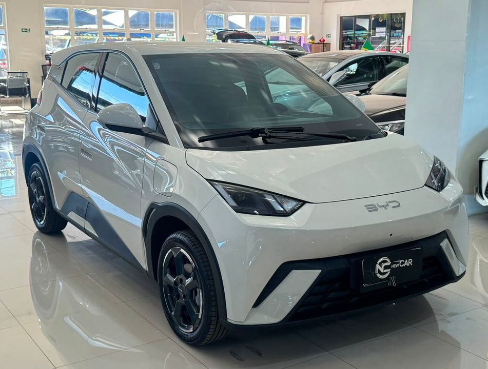 BYD Dolphin Mini (Elétrico)