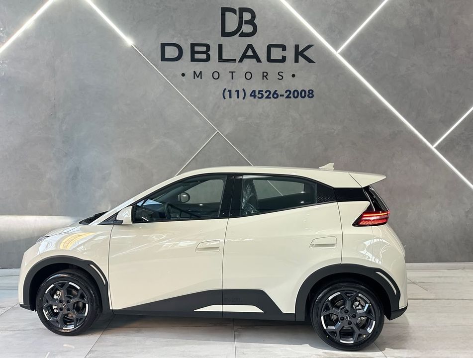 BYD DOLPHIN MINI GL (ELETRICO)