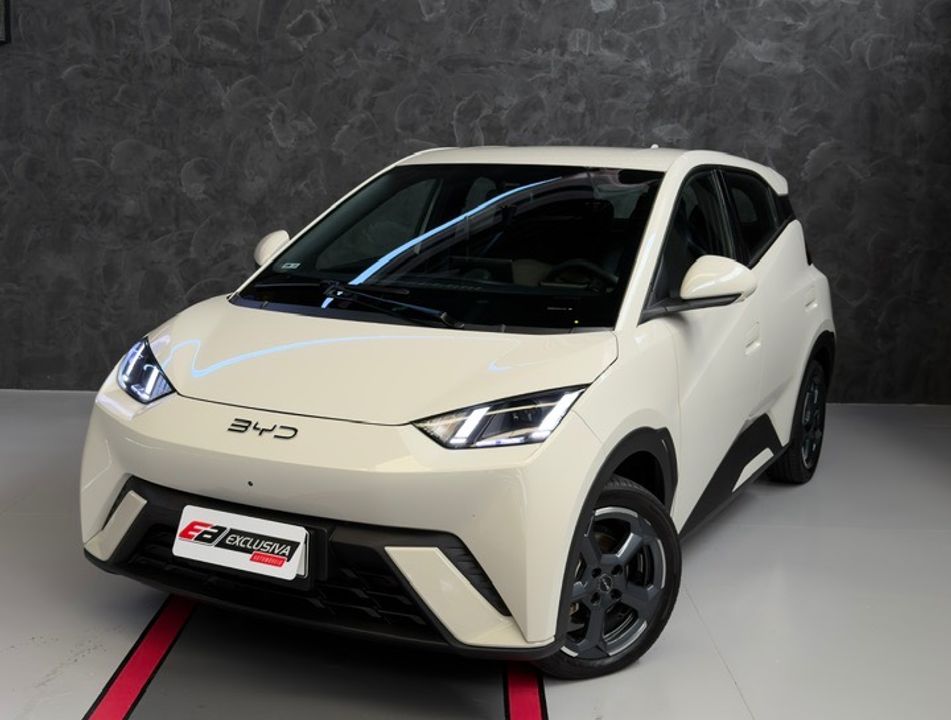 BYD Dolphin Mini (Elétrico)