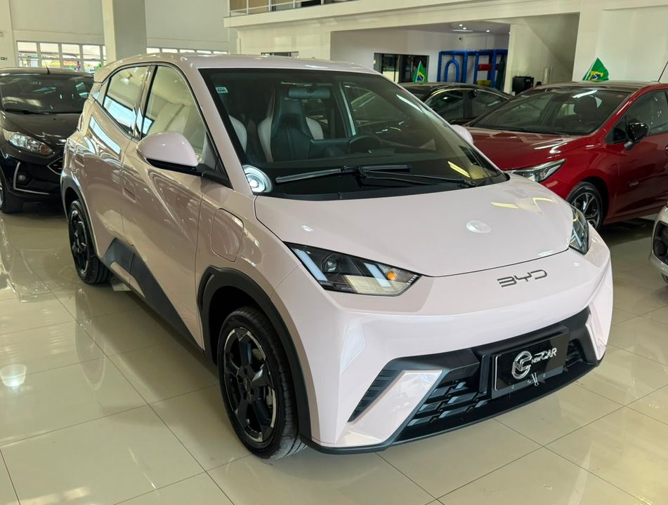 BYD Dolphin Mini (Elétrico)