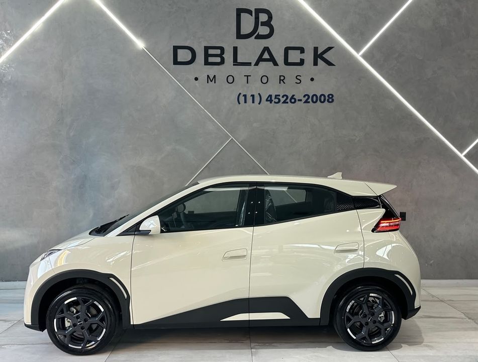 BYD DOLPHIN MINI GL