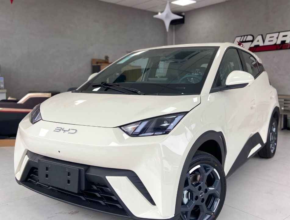 BYD Dolphin Mini (Elétrico)