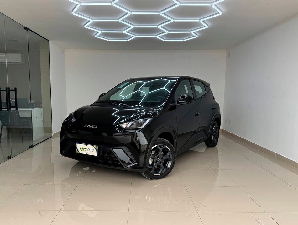 BYD Dolphin Mini (Elétrico)