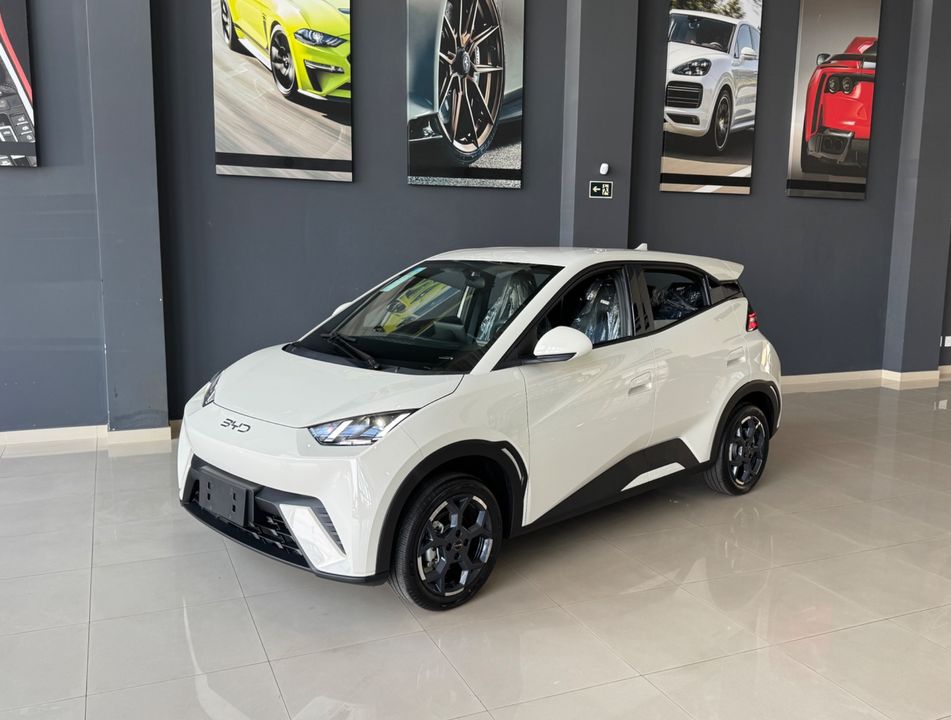 BYD Dolphin Mini GL