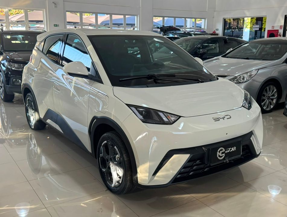 BYD Dolphin Mini (Elétrico)