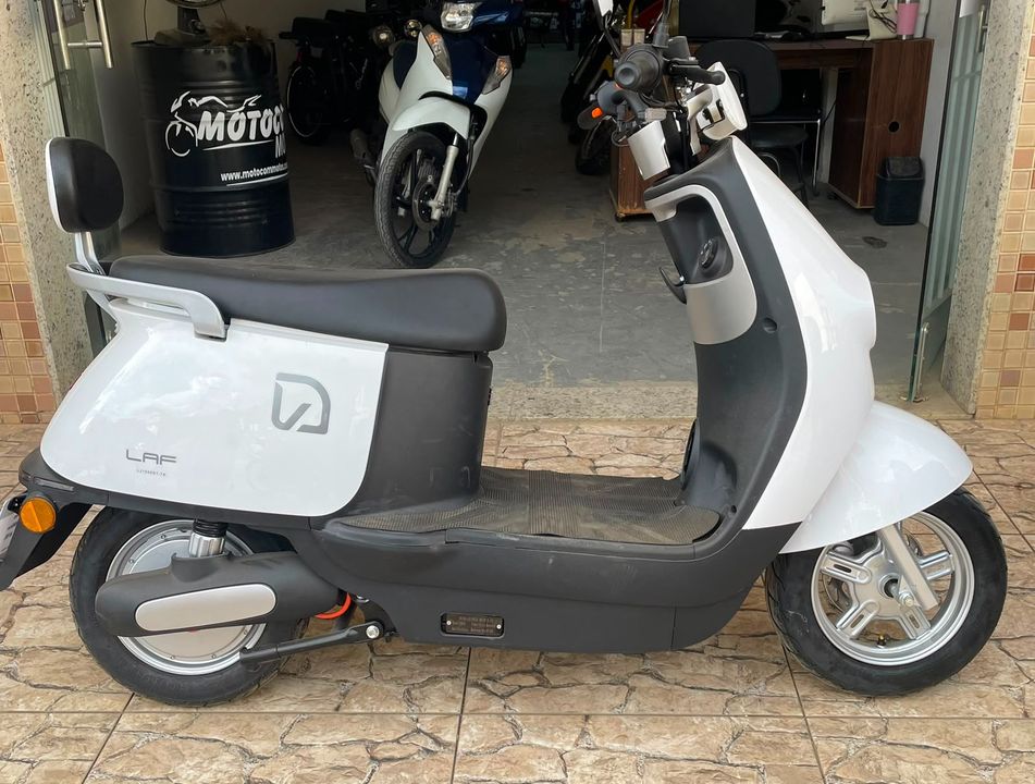 LAF AVA