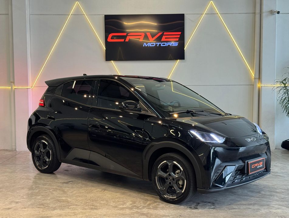 BYD Dolphin Mini (Elétrico)