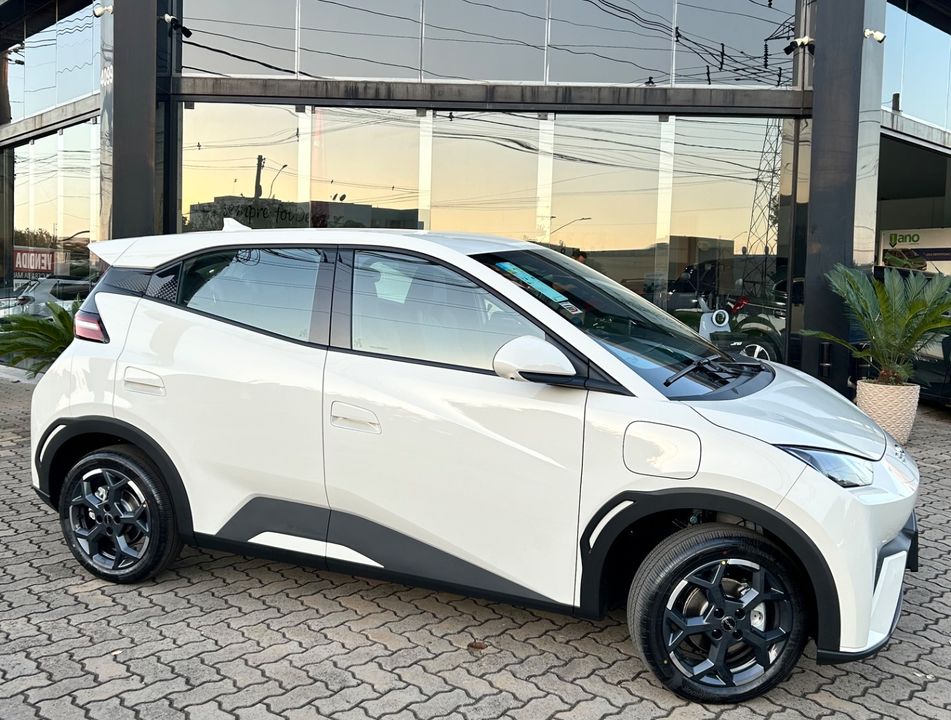 BYD Dolphin Mini (Elétrico)