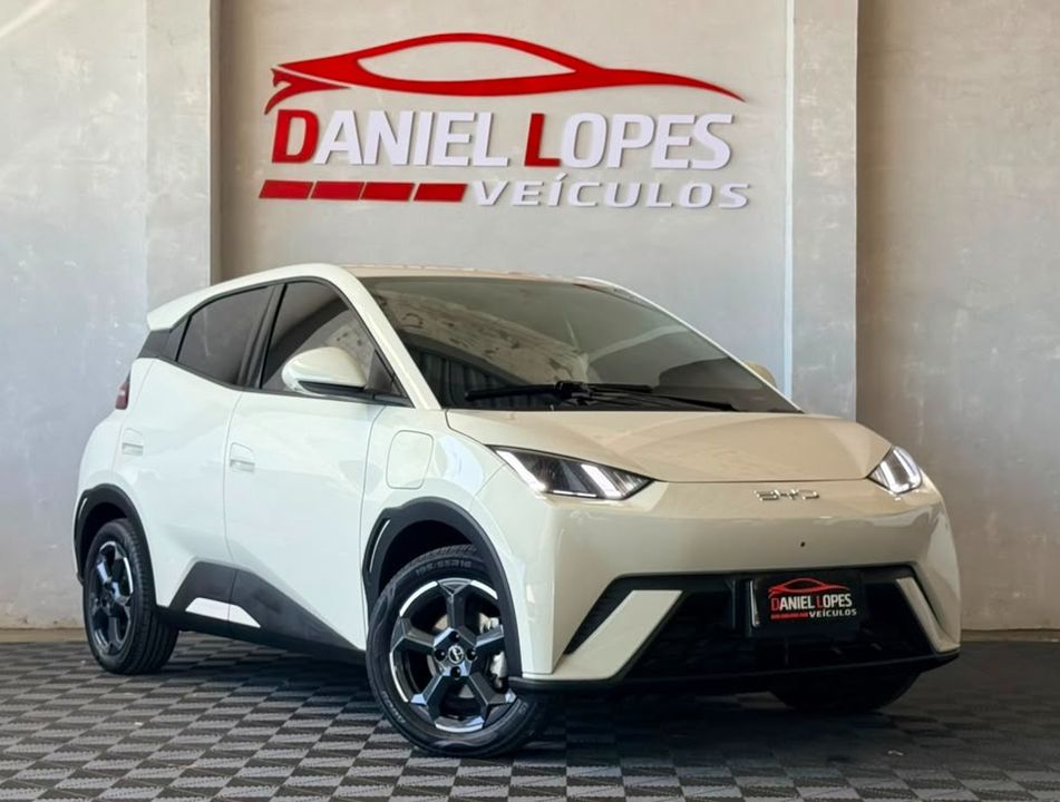 BYD Dolphin Mini (Elétrico)