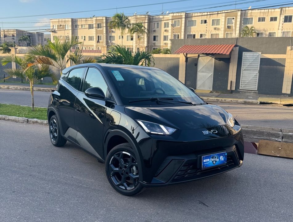 BYD Dolphin Mini (Elétrico)