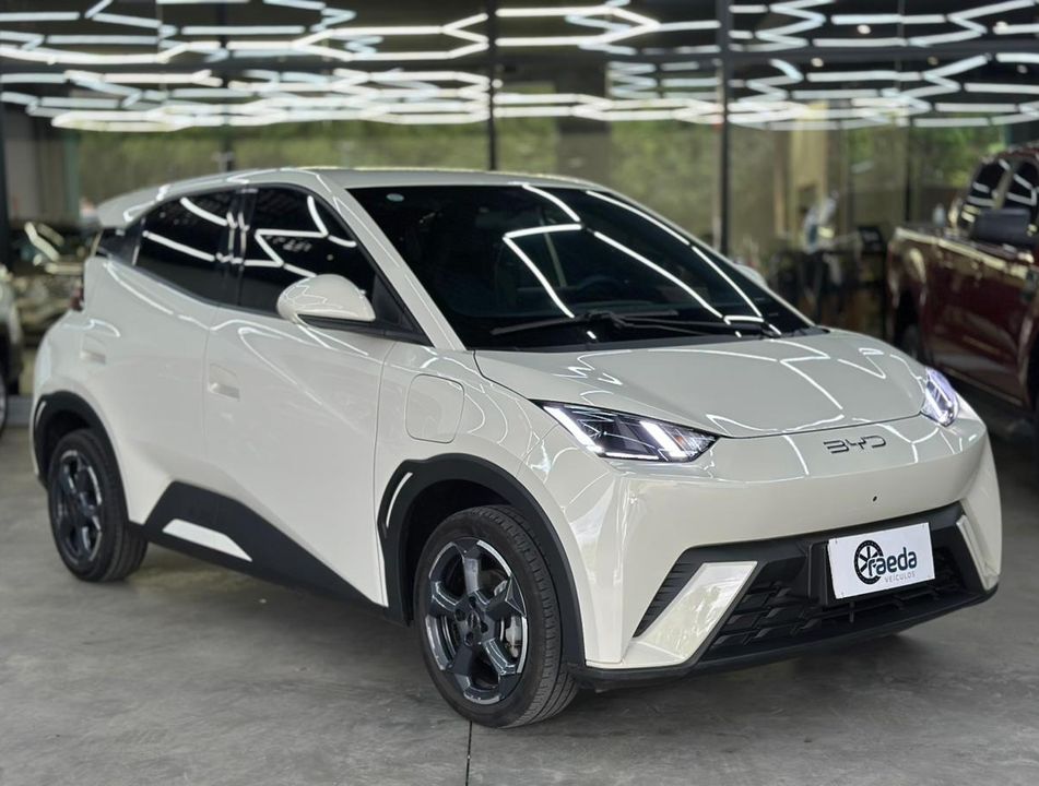 BYD Dolphin Mini GS (Elétrico)
